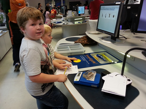 Alex finds out about a toad grasshopper in the... Alex finds out about a toad grasshopper in the...