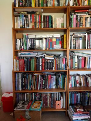 Fiction Bookshelf on the upstairs landing