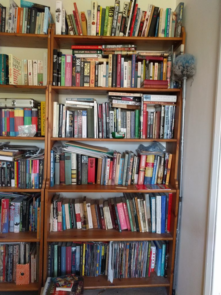 History Bookshelf  Bookshelves Abound Shelfie 02 