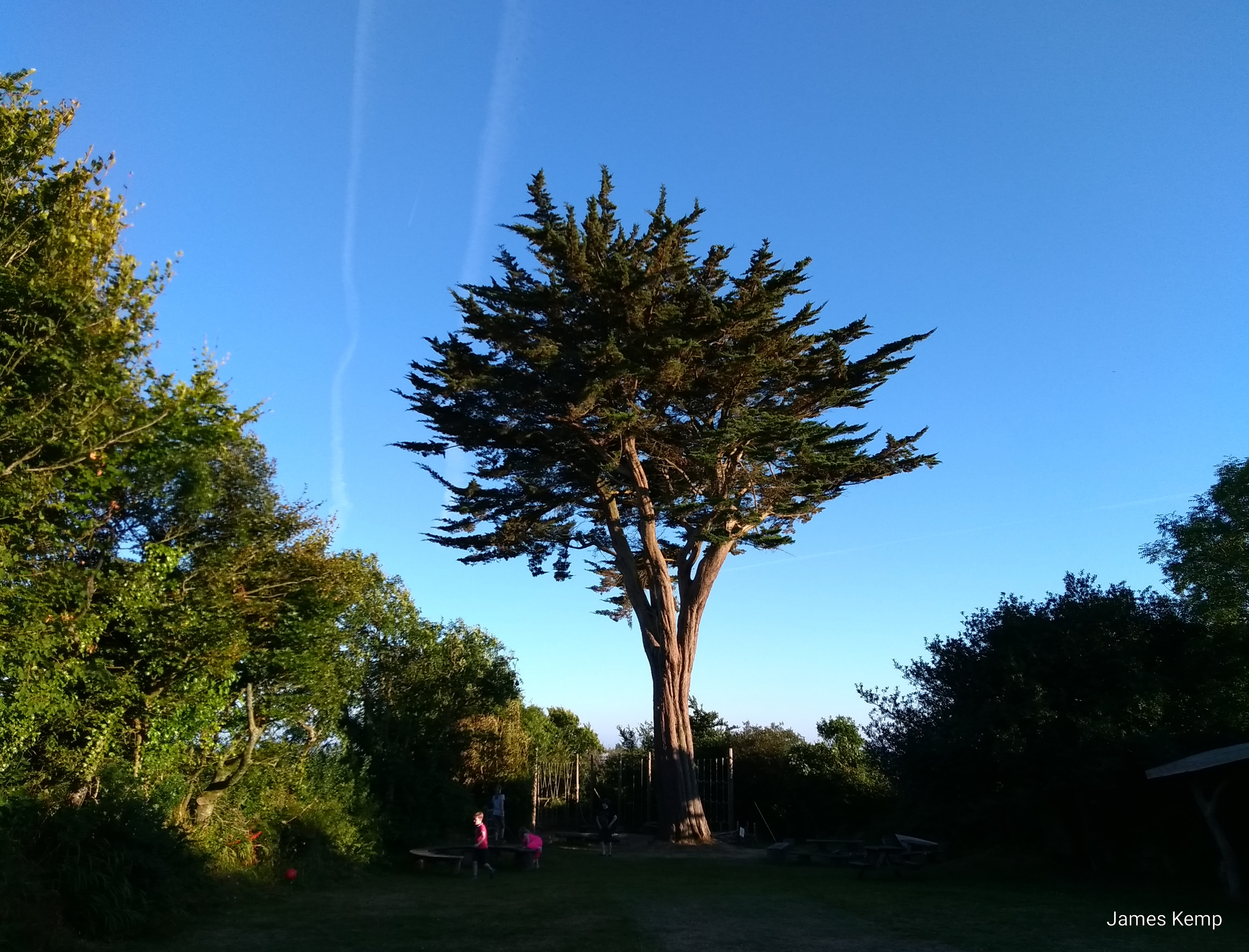 The back garden in the real family holidays centre in Slapton, Devon (photo: James Kemp)